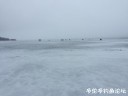 Filename=attachID_27776_postID_253426_IMG_1729.JPG
Filesize=38KiB
Dimensions=1000x750
Date added=Mar 25, 2017 attachID_27776_postID_253426_IMG_1729.JPG