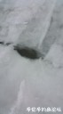 Filename=attachID_27780_postID_253486_20170224_152637.jpg
Filesize=35KiB
Dimensions=562x1000
Date added=Mar 25, 2017 attachID_27780_postID_253486_20170224_152637.jpg