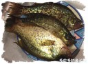 Filename=attachID_27839_postID_254108_20.jpg
Filesize=120KiB
Dimensions=1000x731
Date added=Mar 25, 2017 attachID_27839_postID_254108_20.jpg