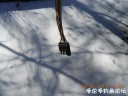 Filename=attachID_27938_postID_255225_DSCN0584.JPG
Filesize=65KiB
Dimensions=1000x750
Date added=Mar 25, 2017 attachID_27938_postID_255225_DSCN0584.JPG