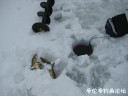 Filename=attachID_27989_postID_255674_IMG_0359.JPG
Filesize=53KiB
Dimensions=1000x750
Date added=Mar 25, 2017 attachID_27989_postID_255674_IMG_0359.JPG