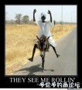 Filename=attachID_28044_postID_256008_They-See-Me-Rollin-They-Hatin-Funny-Donkey-Meme-Poster.jpg
Filesize=59KiB
Dimensions=630x692
Date added=Mar 25, 2017 attachID_28044_postID_256008_They-See-Me-Rollin-They-Hatin-Funny-Donkey-Meme-Poster.jpg