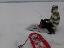 attachID_2818_postID_21804_10_3.jpg
