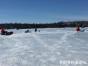 attachID_28207_postID_257521_IMG_1094.JPG