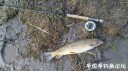 attachID_28214_postID_257528_IMG_20170319_51160.jpg