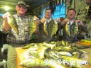Filename=attachID_28279_postID_258124_p1.jpg
Filesize=64KiB
Dimensions=625x469
Date added=Mar 25, 2017 attachID_28279_postID_258124_p1.jpg