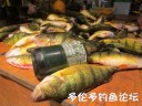 Filename=attachID_28280_postID_258124_p2.jpg
Filesize=57KiB
Dimensions=625x469
Date added=Mar 25, 2017 attachID_28280_postID_258124_p2.jpg