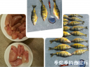 Filename=attachID_28316_postID_258514_PERCH.png
Filesize=651KiB
Dimensions=815x616
Date added=Mar 25, 2017 attachID_28316_postID_258514_PERCH.png