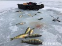 Filename=attachID_28337_postID_258643_IMG_1118.JPG
Filesize=97KiB
Dimensions=1000x750
Date added=Mar 25, 2017 attachID_28337_postID_258643_IMG_1118.JPG