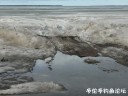 Filename=attachID_28340_postID_258678_IMG_1129.JPG
Filesize=89KiB
Dimensions=1000x750
Date added=Mar 25, 2017 attachID_28340_postID_258678_IMG_1129.JPG