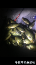 Filename=attachID_28416_postID_259194_IMG_2210.PNG
Filesize=581KiB
Dimensions=562x1000
Date added=May 25, 2017 attachID_28416_postID_259194_IMG_2210.PNG