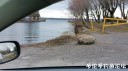 Filename=attachID_28491_postID_259759_20170401_083232.jpg
Filesize=111KiB
Dimensions=1000x562
Date added=May 25, 2017 attachID_28491_postID_259759_20170401_083232.jpg