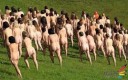 Filename=attachID_28648_postID_261175_IMG_2787.JPG
Filesize=86KiB
Dimensions=500x313
Date added=May 25, 2017 attachID_28648_postID_261175_IMG_2787.JPG