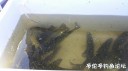 Filename=attachID_28765_postID_262150_20170414_143041.jpg
Filesize=53KiB
Dimensions=1000x562
Date added=May 25, 2017 attachID_28765_postID_262150_20170414_143041.jpg