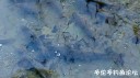 Filename=attachID_28788_postID_262274_sucker1.jpg
Filesize=83KiB
Dimensions=1000x562
Date added=May 25, 2017 attachID_28788_postID_262274_sucker1.jpg