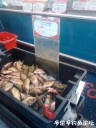 Filename=attachID_28803_postID_262385_IMG_20170416_154036619.jpg
Filesize=94KiB
Dimensions=750x1000
Date added=May 25, 2017 attachID_28803_postID_262385_IMG_20170416_154036619.jpg