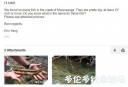 Filename=attachID_28815_postID_262608_email.JPG
Filesize=39KiB
Dimensions=659x451
Date added=May 25, 2017 attachID_28815_postID_262608_email.JPG