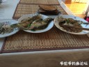 Filename=attachID_28819_postID_262732_IMG_1789.JPG
Filesize=111KiB
Dimensions=1000x750
Date added=May 25, 2017 attachID_28819_postID_262732_IMG_1789.JPG