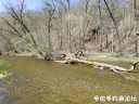 Filename=attachID_28827_postID_262923_IMG_20170418_14912.jpg
Filesize=179KiB
Dimensions=1000x750
Date added=May 25, 2017 attachID_28827_postID_262923_IMG_20170418_14912.jpg