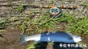 Filename=attachID_28896_postID_263865_20170424_115510.jpg
Filesize=187KiB
Dimensions=1000x562
Date added=May 25, 2017 attachID_28896_postID_263865_20170424_115510.jpg