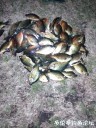 attachID_28902_postID_263918_IMG_20170414_215757582.jpg
