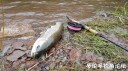Filename=attachID_28907_postID_263977_20170425_095922.jpg
Filesize=153KiB
Dimensions=1000x562
Date added=May 25, 2017 attachID_28907_postID_263977_20170425_095922.jpg