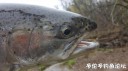 Filename=attachID_28911_postID_263977_20170425_105636.jpg
Filesize=66KiB
Dimensions=1000x562
Date added=May 25, 2017 attachID_28911_postID_263977_20170425_105636.jpg
