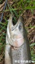 Filename=attachID_28914_postID_263977_20170425_123643.jpg
Filesize=118KiB
Dimensions=562x1000
Date added=May 25, 2017 attachID_28914_postID_263977_20170425_123643.jpg