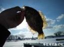 Filename=attachID_28970_postID_264190_IMG_20170321_170838.jpg
Filesize=57KiB
Dimensions=1000x741
Date added=May 25, 2017 attachID_28970_postID_264190_IMG_20170321_170838.jpg