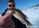 Filename=attachID_28980_postID_264190_IMG_20170325_160322.jpg
Filesize=48KiB
Dimensions=1000x741
Date added=May 25, 2017 attachID_28980_postID_264190_IMG_20170325_160322.jpg