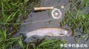 Filename=attachID_29037_postID_264582_IMG_20170429_586.jpg
Filesize=111KiB
Dimensions=1000x562
Date added=May 25, 2017 attachID_29037_postID_264582_IMG_20170429_586.jpg