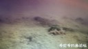 Filename=attachID_29046_postID_264658_20170429_193426.jpg
Filesize=38KiB
Dimensions=1000x562
Date added=May 25, 2017 attachID_29046_postID_264658_20170429_193426.jpg