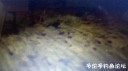 Filename=attachID_29047_postID_264661_20170429_200315.jpg
Filesize=58KiB
Dimensions=1000x562
Date added=May 25, 2017 attachID_29047_postID_264661_20170429_200315.jpg