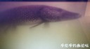 attachID_29049_postID_264664_20170429_203415.jpg