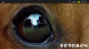 Filename=attachID_29053_postID_264723_Screenshot_2017-04-30-09-18-49.png
Filesize=409KiB
Dimensions=1000x562
Date added=May 25, 2017 attachID_29053_postID_264723_Screenshot_2017-04-30-09-18-49.png
