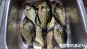 Filename=attachID_29074_postID_264947__00d.jpg
Filesize=115KiB
Dimensions=1000x563
Date added=May 25, 2017 attachID_29074_postID_264947__00d.jpg