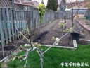Filename=attachID_29139_postID_265377_IMG_2851.JPG
Filesize=170KiB
Dimensions=1000x750
Date added=May 25, 2017 attachID_29139_postID_265377_IMG_2851.JPG