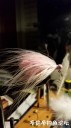 Filename=attachID_29165_postID_265759_20170501_001323.jpg
Filesize=62KiB
Dimensions=562x1000
Date added=May 25, 2017 attachID_29165_postID_265759_20170501_001323.jpg