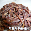attachID_29306_postID_266944_IMG_2392.PNG