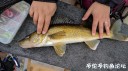 Filename=attachID_29325_postID_267161_IMG_20170513_074820.jpg
Filesize=117KiB
Dimensions=1000x562
Date added=May 25, 2017 attachID_29325_postID_267161_IMG_20170513_074820.jpg