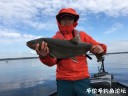 Filename=attachID_29330_postID_267174_IMG_2441.JPG
Filesize=80KiB
Dimensions=1000x750
Date added=May 25, 2017 attachID_29330_postID_267174_IMG_2441.JPG