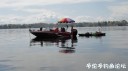 Filename=attachID_29380_postID_267412_DSC04790.JPG
Filesize=55KiB
Dimensions=1000x562
Date added=May 25, 2017 attachID_29380_postID_267412_DSC04790.JPG
