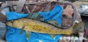 Filename=attachID_29412_postID_267659__00f.jpg
Filesize=133KiB
Dimensions=1000x486
Date added=May 25, 2017 attachID_29412_postID_267659__00f.jpg