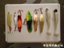 Filename=attachID_29457_postID_267983_DSCN0793.JPG
Filesize=73KiB
Dimensions=1000x750
Date added=May 25, 2017 attachID_29457_postID_267983_DSCN0793.JPG