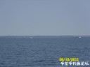 Filename=attachID_29479_postID_268232_SDC12908.JPG
Filesize=61KiB
Dimensions=1000x750
Date added=May 25, 2017 attachID_29479_postID_268232_SDC12908.JPG