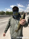 Filename=attachID_29627_postID_269519_IMG_1887.JPG
Filesize=103KiB
Dimensions=750x1000
Date added=May 25, 2017 attachID_29627_postID_269519_IMG_1887.JPG