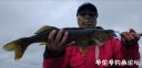 Filename=attachID_29662_postID_269943__00q.jpg
Filesize=51KiB
Dimensions=1000x487
Date added=Oct 21, 2017 attachID_29662_postID_269943__00q.jpg