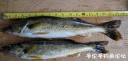 Filename=attachID_29664_postID_269943__00s.jpg
Filesize=103KiB
Dimensions=1000x484
Date added=Oct 21, 2017 attachID_29664_postID_269943__00s.jpg
