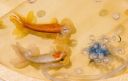 Filename=attachID_2969_postID_23362_image.jpg
Filesize=150KiB
Dimensions=818x522
Date added=Dec 02, 2016 attachID_2969_postID_23362_image.jpg