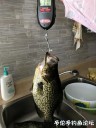 Filename=attachID_29750_postID_270611_IMG_1060.JPG
Filesize=96KiB
Dimensions=750x1000
Date added=Oct 21, 2017 attachID_29750_postID_270611_IMG_1060.JPG